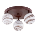 Argon 6292 - Plafonsko svetlo FABIO 3xE14/7W/230V alabaster braon