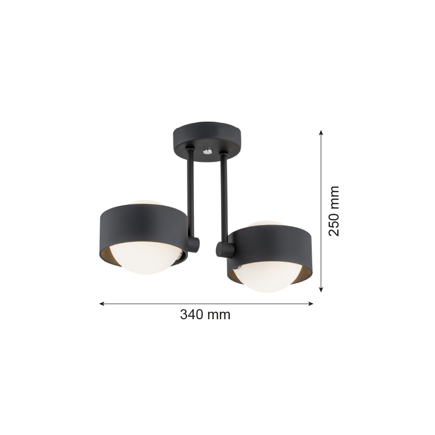 Argon 7089 - Luster na šipci MASSIMO PLUS 2xG9/6W/230V crna