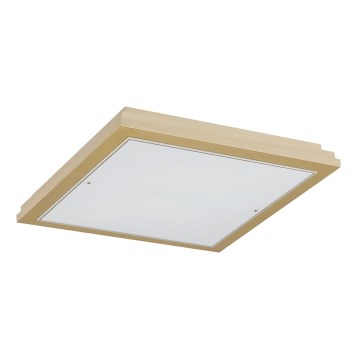 Argon 7146 - Plafonsko svetlo CASERTA 2xE27/15W/230V 32x32 cm