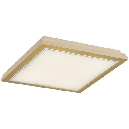 Argon 7146 - Plafonsko svetlo CASERTA 2xE27/15W/230V 32x32 cm