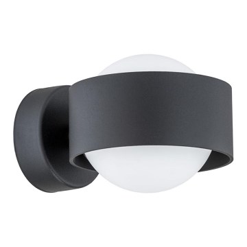 Argon 8059 - Zidna svetiljka MASSIMO PLUS 1xG9/6W/230V crna