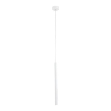 Argon 8066 - Luster na sajli ETNA 1xG9/6W/230V bela