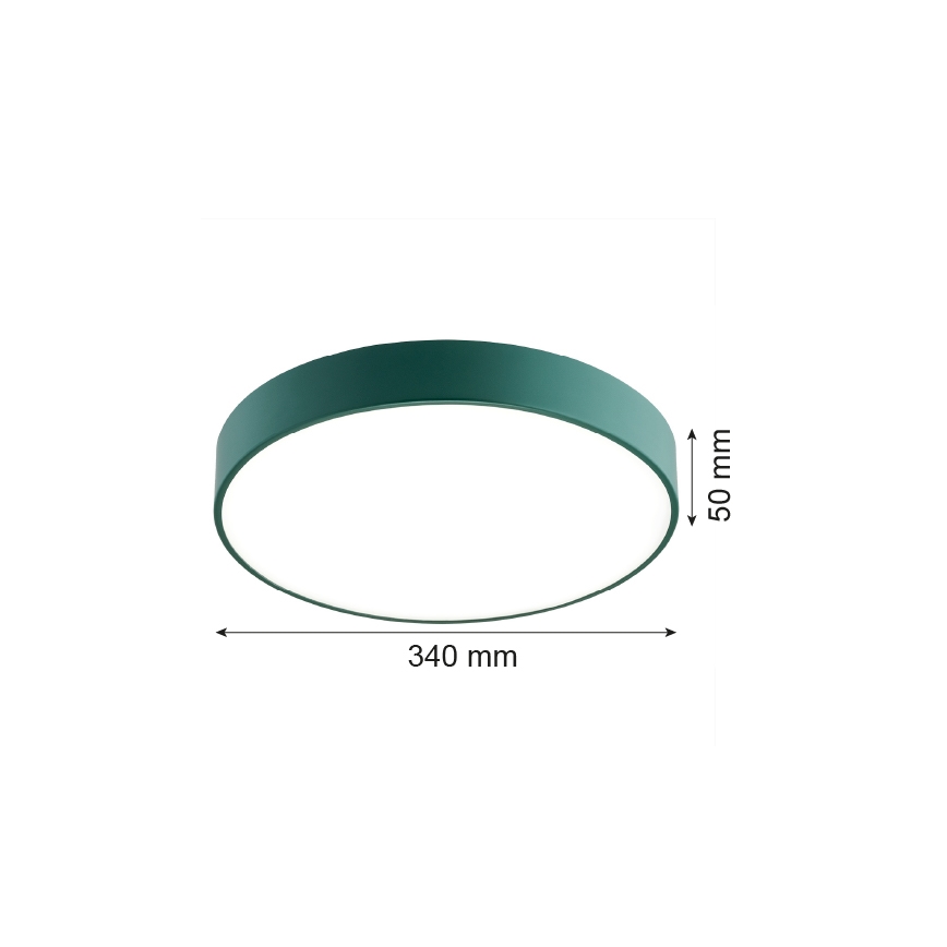 Argon 8335 - LED stropno svetlo TIAMO LED/22W/230V 4000K zelena
