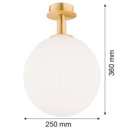 Argon 8505 - Plafonsko svetlo PALOMA 1xE27/15W/230V zlatna/bela