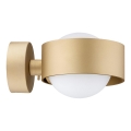 Argon 8567 - Kupatilska zidna lampa MASSIMO PLUS 1xG9/6W/230V IP44 zlatna