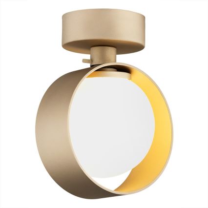 Argon 8567 - Kupatilska zidna lampa MASSIMO PLUS 1xG9/6W/230V IP44 zlatna