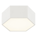 Argon 8781 - LED plafonsko svetlo LIBERO LED/12W/230V 3000K bela