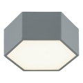 Argon 8784 - LED plafonjera LIBERO LED/12W/230V 3000K siva