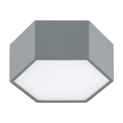 Argon 8784 - LED plafonjera LIBERO LED/12W/230V 3000K siva