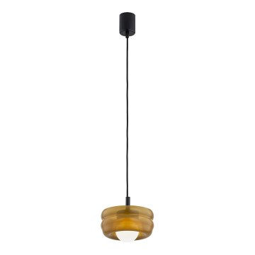 Argon 8816 - Luster na sajli TEVO 1xG9/4,5W/230V braon/dimljena