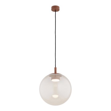 Argon 8829 - Luster na sajli SACRAMENTO 1xGX53/8W/230V proziran/braon