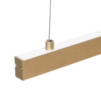 Argon 8836 - LED luster na sajli MIAMI LED/37W/230V 3000K zlatna