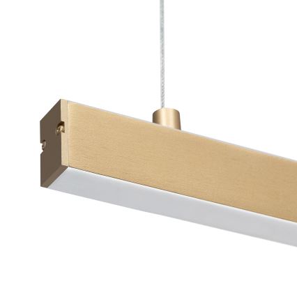 Argon 8836 - LED luster na sajli MIAMI LED/37W/230V 3000K zlatna