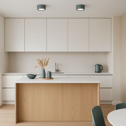 Argon 8917 - Stropna svetiljka ELORA 1xGX53/7W/230V prečnik 11 cm siva