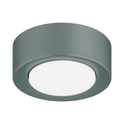 Argon 8917 - Stropna svetiljka ELORA 1xGX53/7W/230V prečnik 11 cm siva