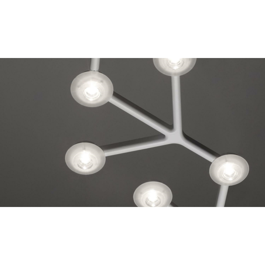 Artemide 1575050APP - LED prigušiva svetiljka na sajli NET LED/43W/230V prečnika 65 cm 3000K