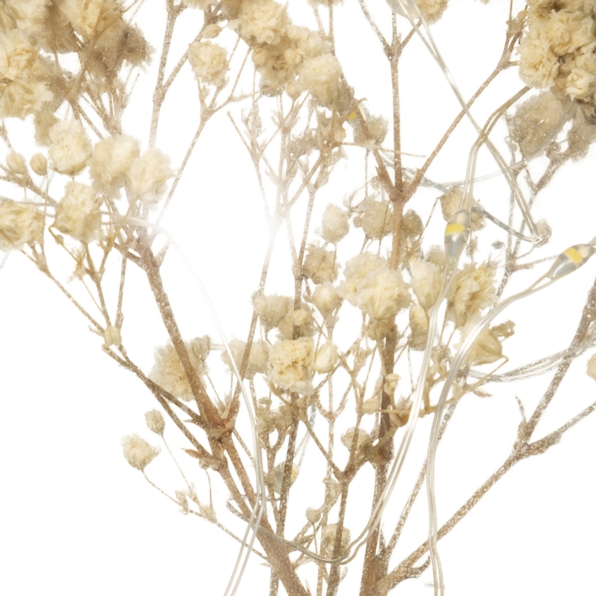 Atmosphera - LED stona lampa MICRO LED/2xAAA