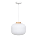 Atmosphera - Luster na sajli TRAVIS 1xE27/25W/230V od borovine