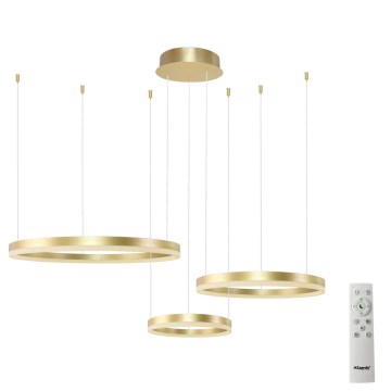 Azzardo AZ4973 - LED prigušiva luster na sajli HALO LED/120W/230V zlatni + daljinski upravljač