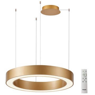 Azzardo AZ5054 - LED prigušiva luster na sajli MARCO LED/100W/230V zlatna + daljinski upravljač