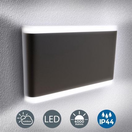 B.K. Licht 1184 - LED spoljašnja zidna svetiljka 2xLED/3,5W/230V IP44 4000K