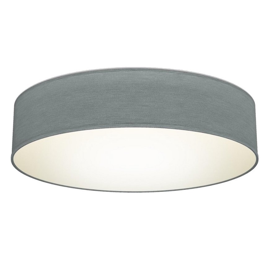 B.K. Licht 1393 - LED plafonsko svetlo LED/20W/230V sivo