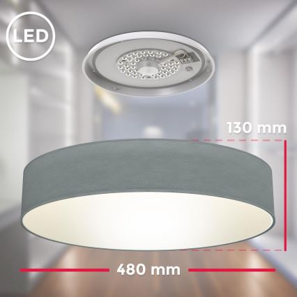 B.K. Licht 1393 - LED plafonsko svetlo LED/20W/230V sivo