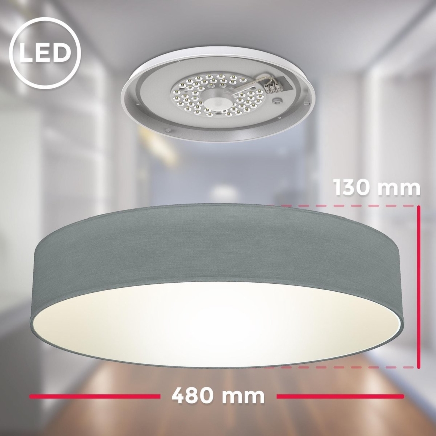 B.K. Licht 1393 - LED plafonsko svetlo LED/20W/230V sivo