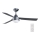 BAYSIDE 531017 - Plafonski ventilator MEGARA 2xE14/15W/230V antracit prečnik 122 cm + daljinski upravljač