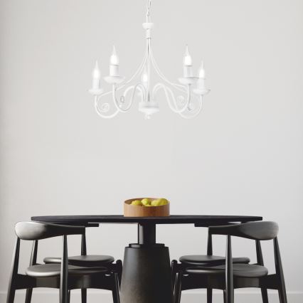 Beli luster na lancu DONATO 5xE14/40W/230V