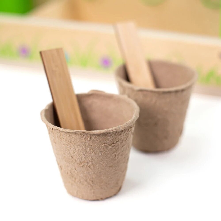 Bigjigs Toys - Baštenski set u gajbici