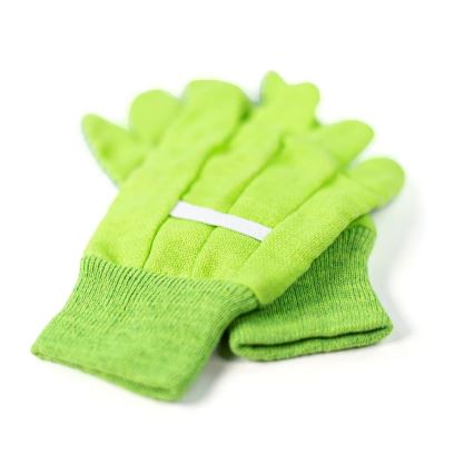 Bigjigs Toys - Baštenski set u gajbici