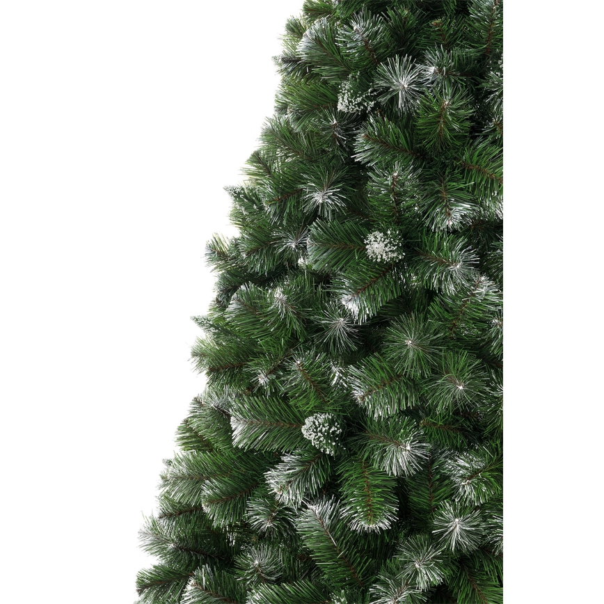 Božićna jelka 100 cm, bor
