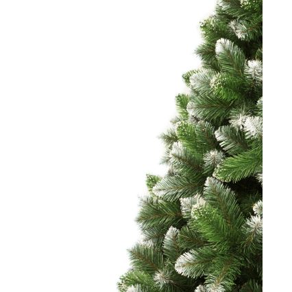 Božićna jelka 180 cm, bor