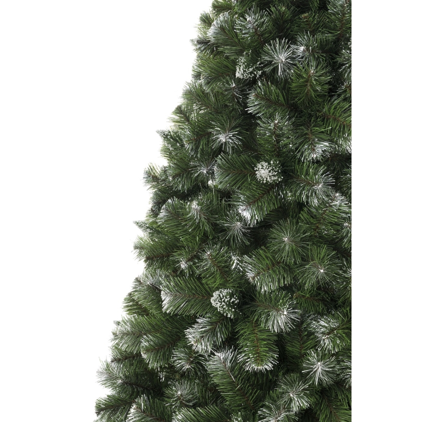 Božićna jelka 220 cm bor