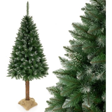 Božićna jelka 220 cm, smreka