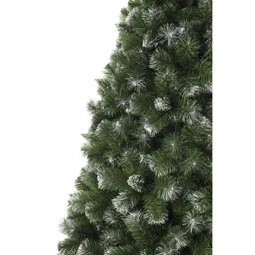 Božićna jelka 250 cm bor