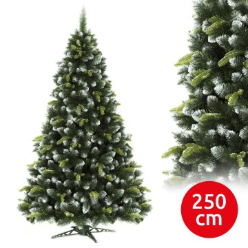 Božićna jelka 250 cm bor