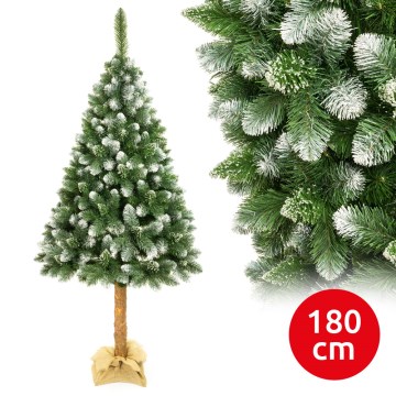 Božićna jelka na deblu 180 cm, bor