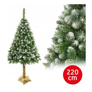 Božićna jelka na deblu 220 cm, bor