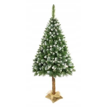 Božićna jelka na deblu 220 cm, bor