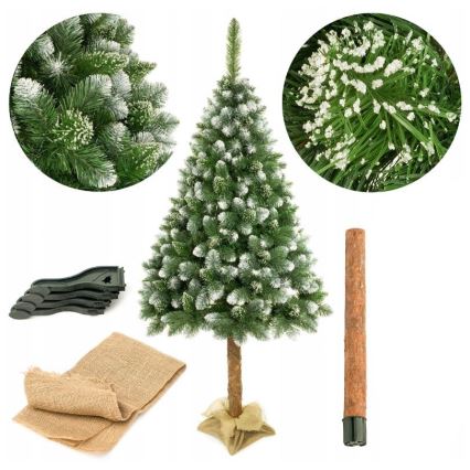 Božićna jelka na deblu 220 cm, bor