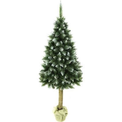 Božićna jelka na deblu, 220 cm, jela