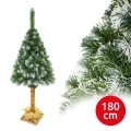 Božićna jelka na panju 180 cm bor