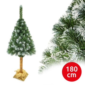 Božićna jelka na panju 180 cm bor