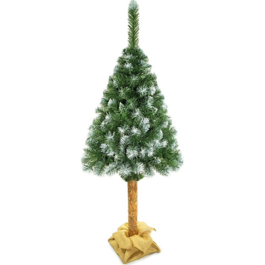 Božićna jelka na panju 180 cm bor
