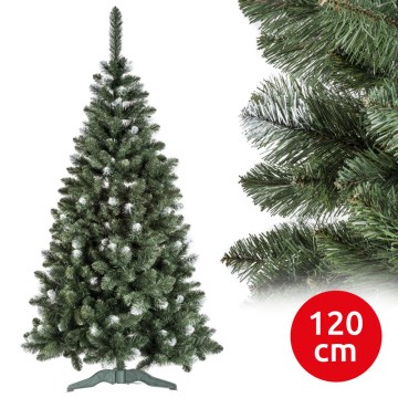 Božićna jelka POLA 120 cm bor