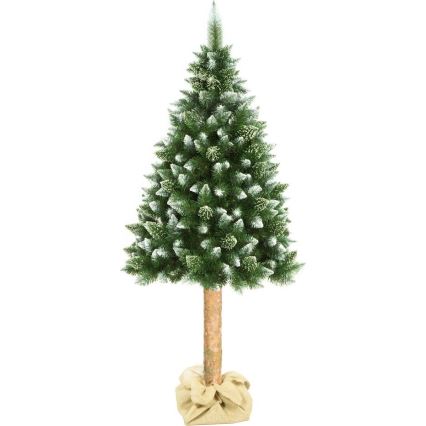 Božićna jelka sa deblom 180 cm, bor