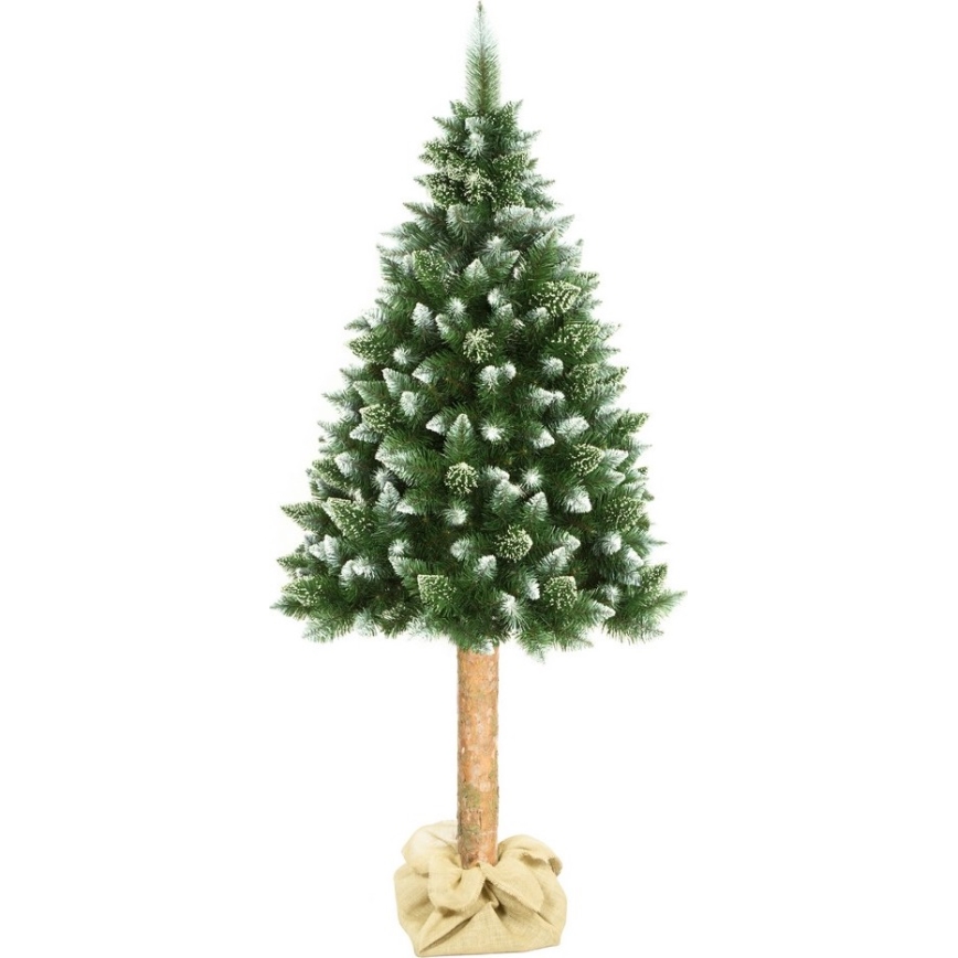 Božićna jelka sa deblom 180 cm, bor