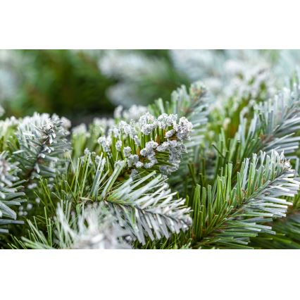 Božićni venac prečnika 54 cm